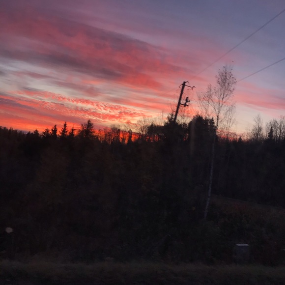 Meet your Posher, Madison - Picture 1 of 1